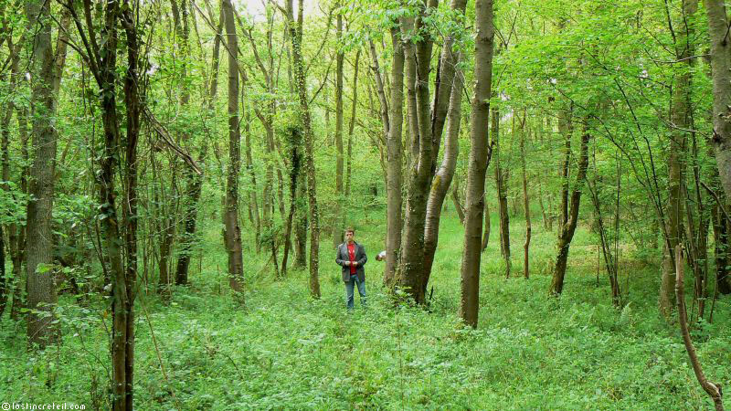 Tourists in Villeconin forest near Paris